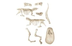 Clementoni Archeospel T-rex Fluor 7+ -Speelgoed Kortingen 0619176 090