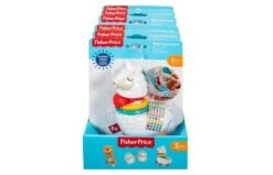Fisher Price Sensorische Ontwikkeling -Speelgoed Kortingen 2004549 040