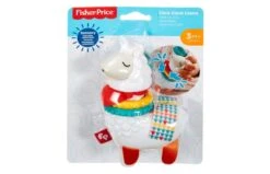 Fisher Price Sensorische Ontwikkeling -Speelgoed Kortingen 2004549 060