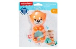 Fisher Price Sensorische Ontwikkeling -Speelgoed Kortingen 2004549 070