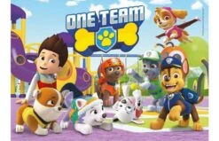 Clementoni Paw Patrol Puzzele 2x20 St -Speelgoed Kortingen 2007639 090