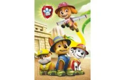 Clementoni Paw Patrol Puzzel 3x48st 9 Clementoni Paw Patrol Puzzel 3x48st -Speelgoed Kortingen 2007640 060