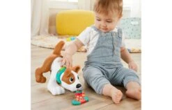 Fisher Price 123 Kruip Met Puppy 19 Fisher Price 123 Kruip Met Puppy -Speelgoed Kortingen 2010240 130