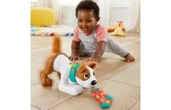 Fisher Price 123 Kruip Met Puppy 18 Fisher Price 123 Kruip Met Puppy -Speelgoed Kortingen 2010240 140