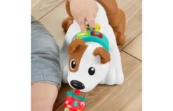 Fisher Price 123 Kruip Met Puppy 17 Fisher Price 123 Kruip Met Puppy -Speelgoed Kortingen 2010240 150