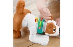 Fisher Price 123 Kruip Met Puppy 15 Fisher Price 123 Kruip Met Puppy -Speelgoed Kortingen 2010240 170