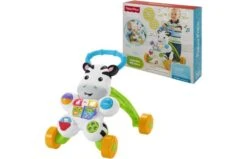 Fisher Price Loop Met Mij Zebra