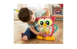 Fisher Price Wijze Ogen Uil -Speelgoed Kortingen 2010242 120